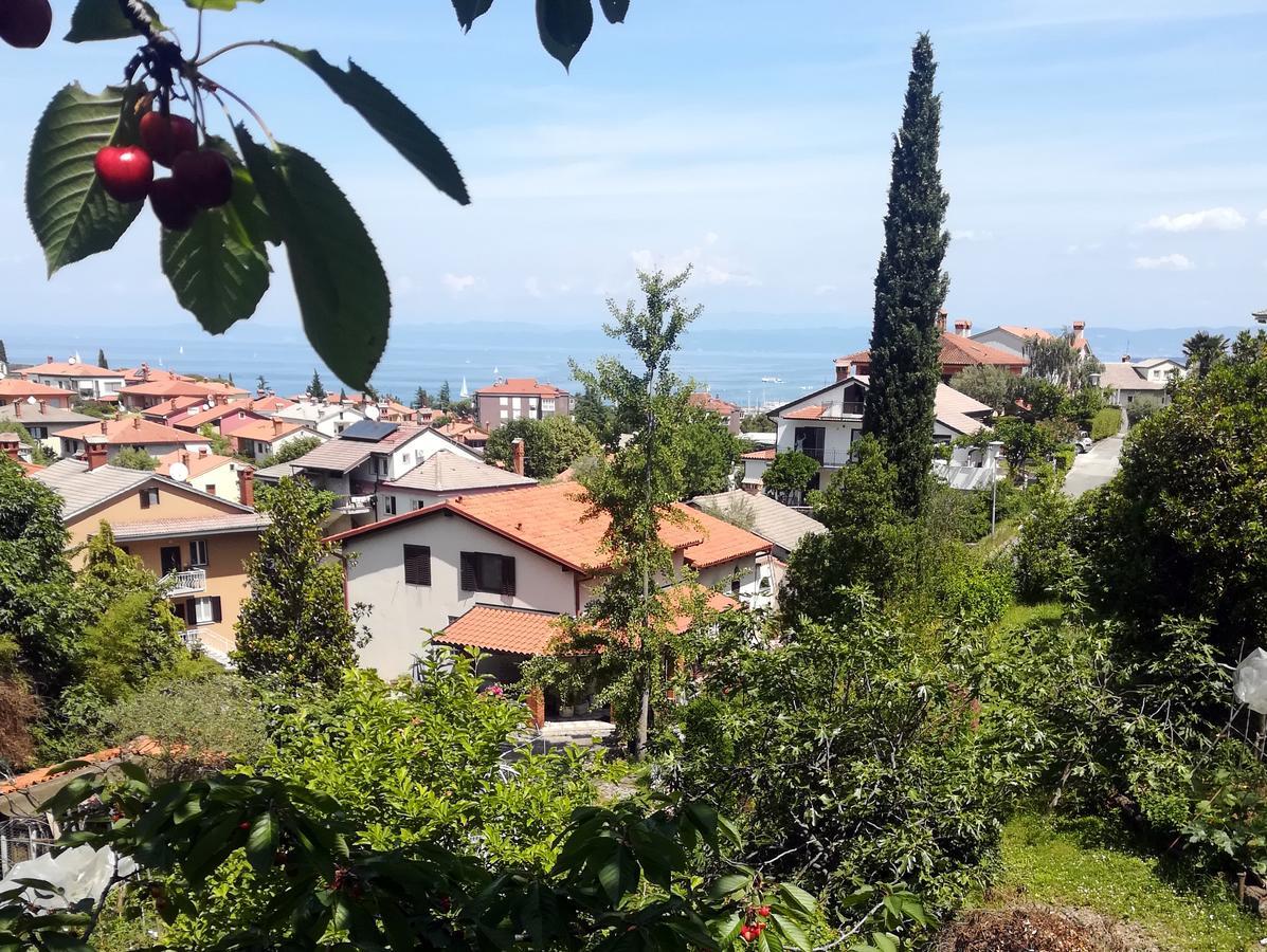 איזולה Seaside Parenzana Comfort With Free Parking מראה חיצוני תמונה